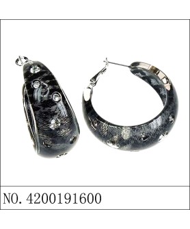 Earrings Gray