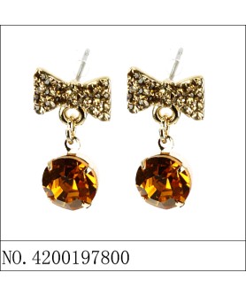 Earrings Brown