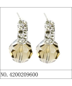 Earrings Gray