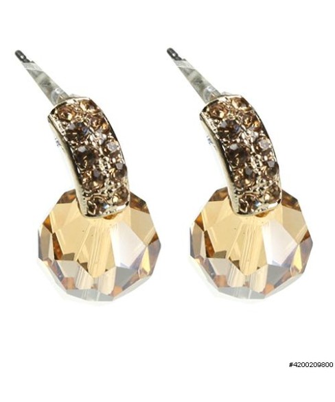 Earrings Brown