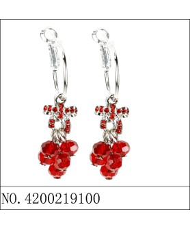 Earrings Red