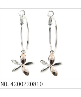 Earrings Brown