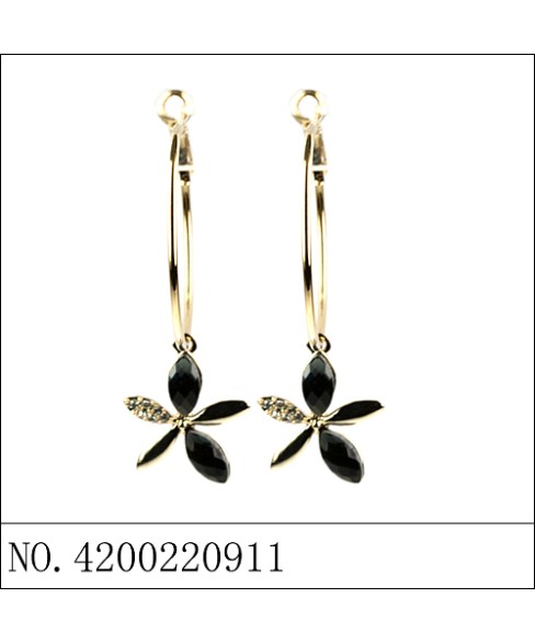 Earrings Black