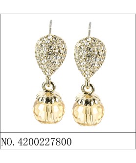 Earrings Brown