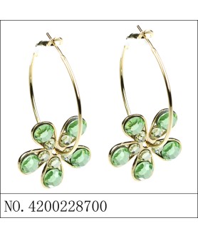 Earrings Green