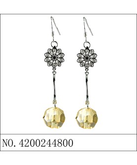 Earrings Brown