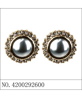 Earrings Gray