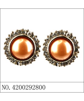 Earrings Brown