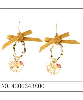 Earrings Brown