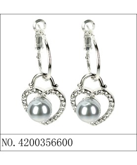 Earrings Gray