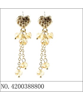 Earrings Brown