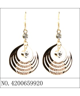 Earrings Gold