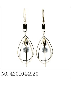 Earrings Gold