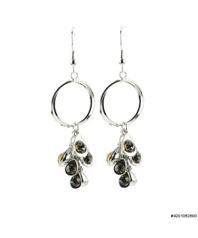 Earrings Gray