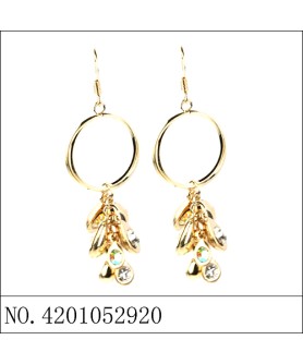 Earrings Gold