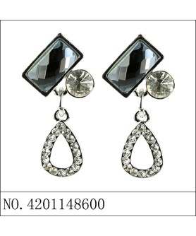 Earrings Gray