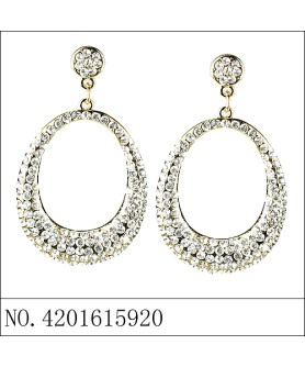 Earrings Gold