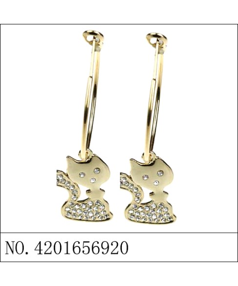 Earrings Gold