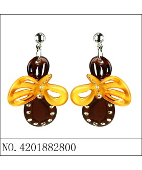 Earrings Brown