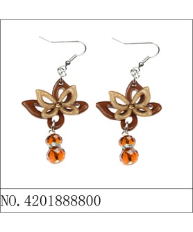 Earrings Brown