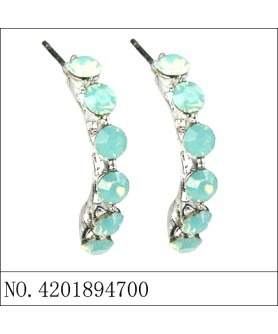 Earrings Green