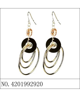 Earrings Gold