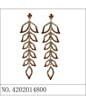 Earrings Brown