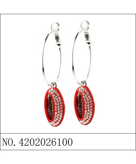 Earrings Red