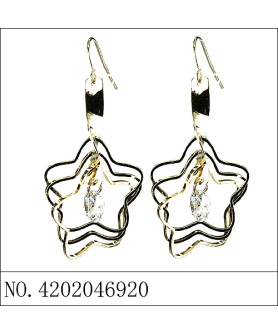 Earrings Gold