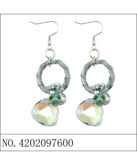 Earrings Gray