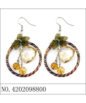 Earrings Brown