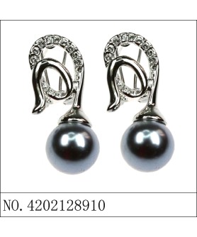 Earrings Black