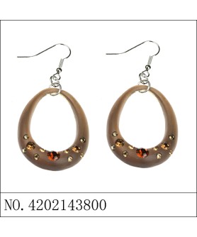 Earrings Brown