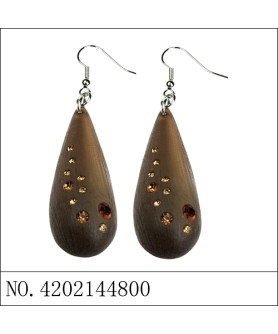 Earrings Brown