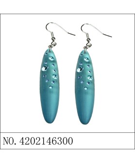 Earrings Blue