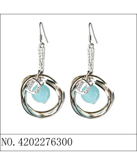 Earrings Blue