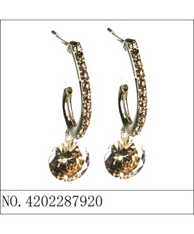 Earrings Gold