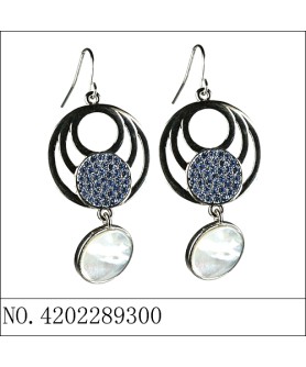 Earrings Blue