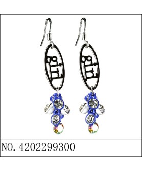 Earrings Blue