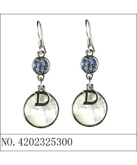 Earrings Blue