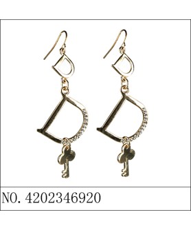 Earrings Gold