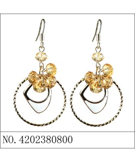 Earrings Brown