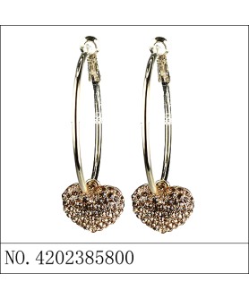 Earrings Brown