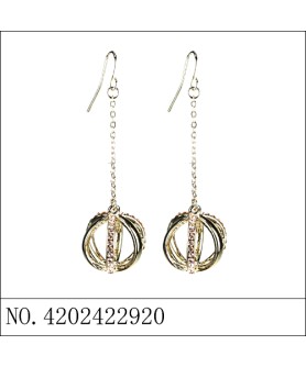 Earrings Gold