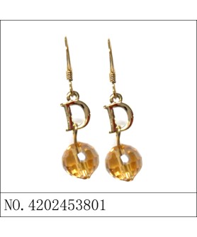 Earrings Brown