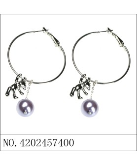 Earrings Purple