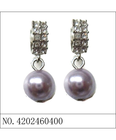 Earrings Purple