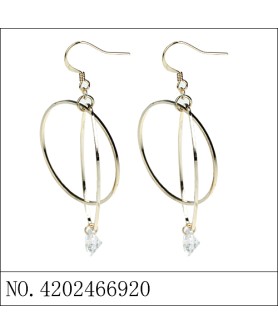 Earrings Gold