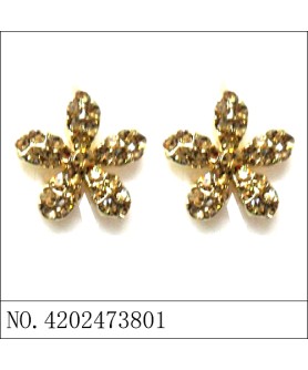 Earrings Brown