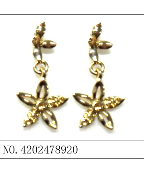 Earrings Gold